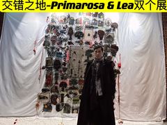 -金尚源SHANG