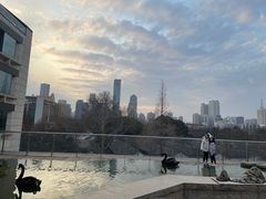 -行者书屋大堂吧 ·下午茶(南京圣和府邸酒店)