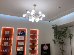 点击看大图 -WENDY·温迪皮肤管理