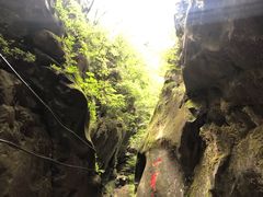 -黑河国家森林公园