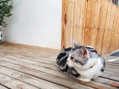 -辛庄国际文化艺术区