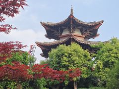 -武汉园博园(武汉自然博物馆)