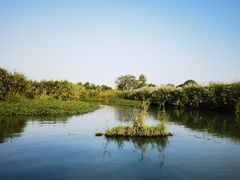 -西溪国家湿地公园