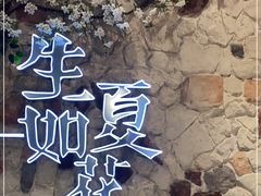 -生如夏花泰式火锅(鹭洲里店)