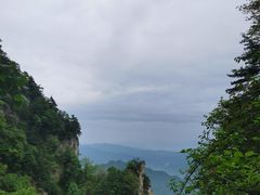 -王顺山国家森林公园
