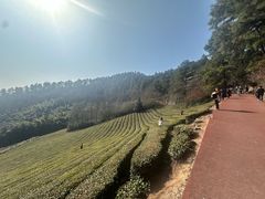 -敬亭山风景名胜区