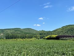 -南泥湾风景区