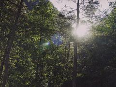 -刘伯温故里景区百丈漈