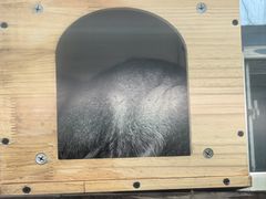 -青藏高原野生动物园