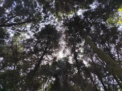 -金堂县云顶石城风景区