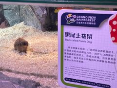 -正佳雨林生态植物园