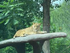 -北京野生动物园