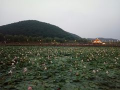 -六鼎山文化旅游区