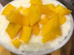 -仁信双皮奶(庙前直街店)