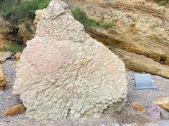 -大连金石滩滨海国家地质公园