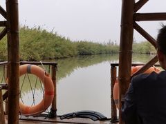 -泗洪洪泽湖湿地景区