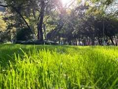 -狼山风景名胜区