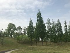 -成都保利公园皇冠假日酒店(熊猫基地店)