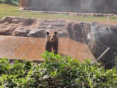 -海南热带野生动植物园