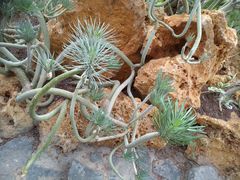 -南通洲际绿博园