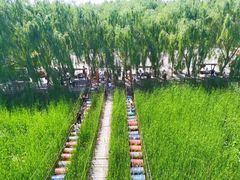 -河北村民俗体验园