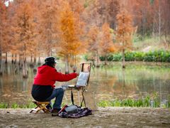 -白鹭湾湿地公园