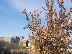 -海棠花溪(元大都城垣遗址公园)