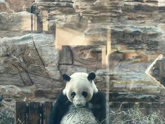 -石家庄市动物园