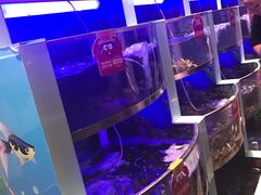 水产区-七欣天香辣蟹火锅(南京建宁路大观天地店)