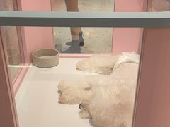 -FAELING PETS美天灵宠物(合生汇店)