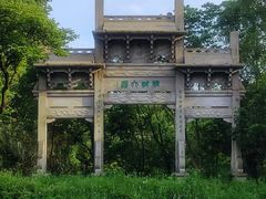 -西溪国家湿地公园