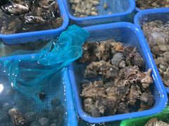 -鸿旺海鲜楼(平潭流水店)