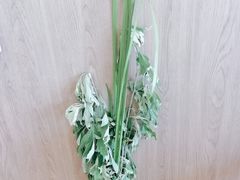 -竹上云想餐厅民宿