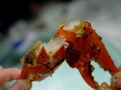 -石头咕(葵蓬店)