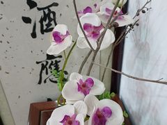 -華僑飯店中餐厅