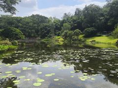 -云溪植物园