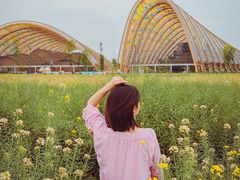 -中国天府农业博览园