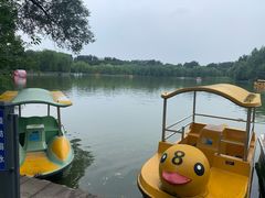 -廊坊市自然公园