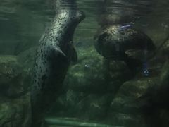 -福州罗源湾海洋世界旅游区