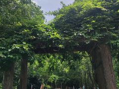 -合肥野生动物园