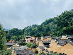 -杨家堂村