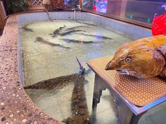 -胖姐渔村(中源大道店)