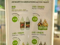 菜单-Salud撒露欧洲冻酸奶(五道口购物中心店)