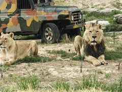 -北京野生动物园