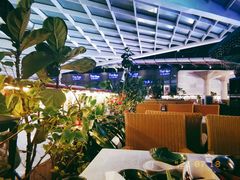 大堂-润园四季椰子鸡火锅(海上世界店)