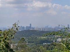 -水濂山森林公园