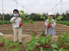 -意大利农场度假村