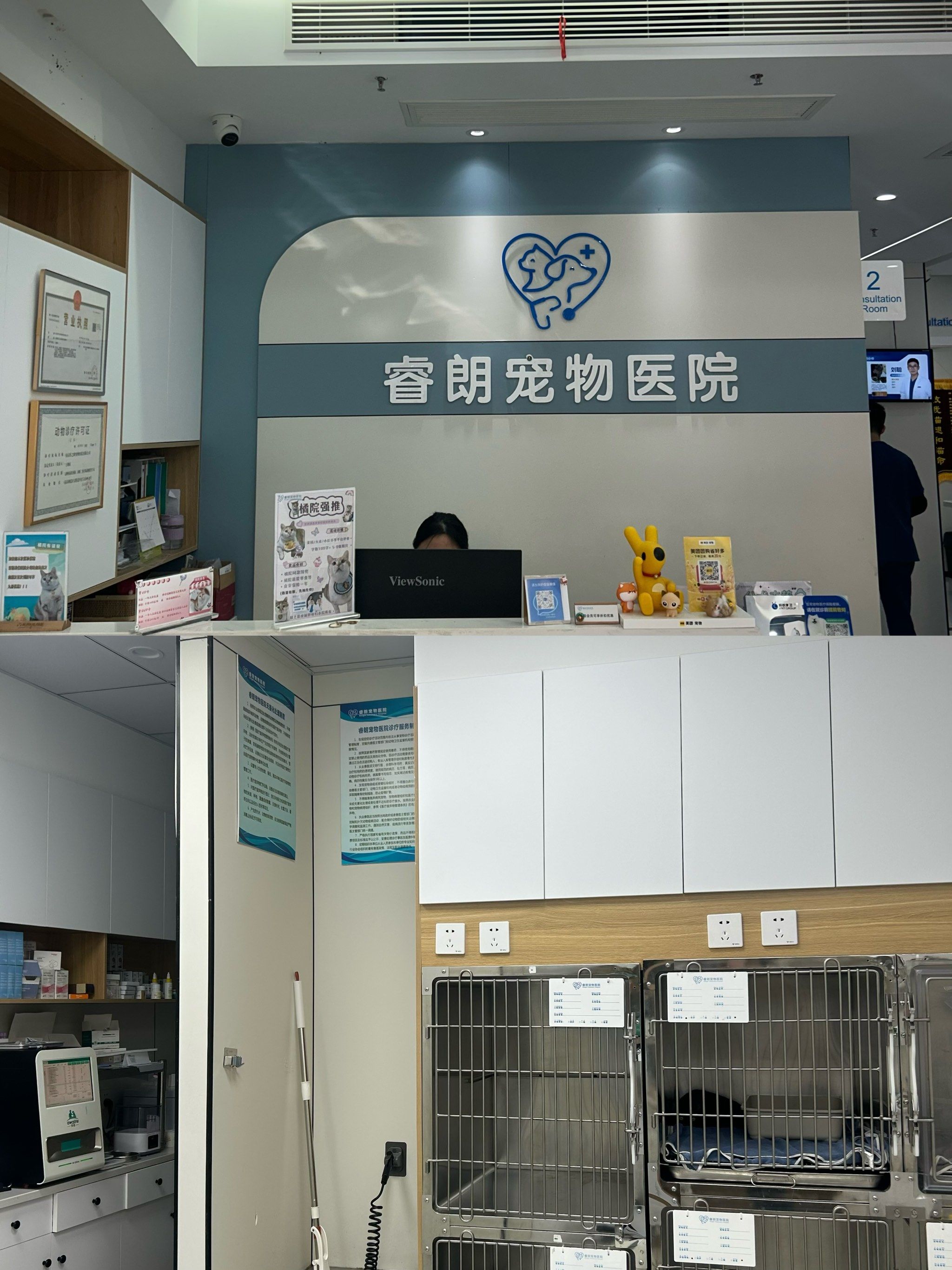 "墙裂"推荐这家宠物连锁医院