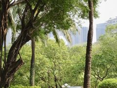 -深圳龙潭公园