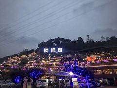 -枇杷园食为鲜火锅(南山店)